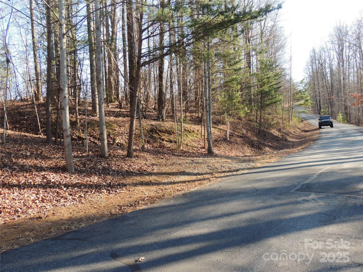 29 Summit Parkway, Bostic, NC 28018, MLS # 4219432