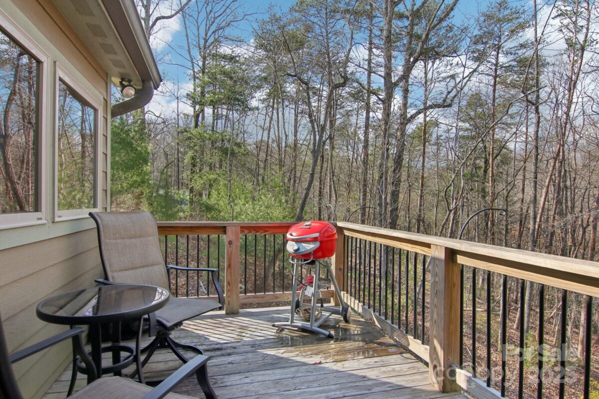 363 Luther Burbank Drive, Lake Lure, NC 28746, MLS # 4220692