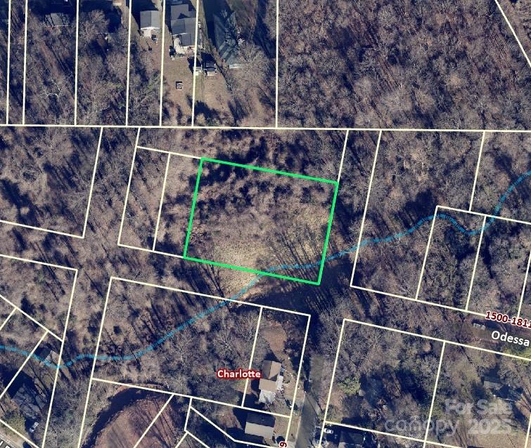 1710 Odessa Avenue, Charlotte, NC 28216, MLS # 4242262