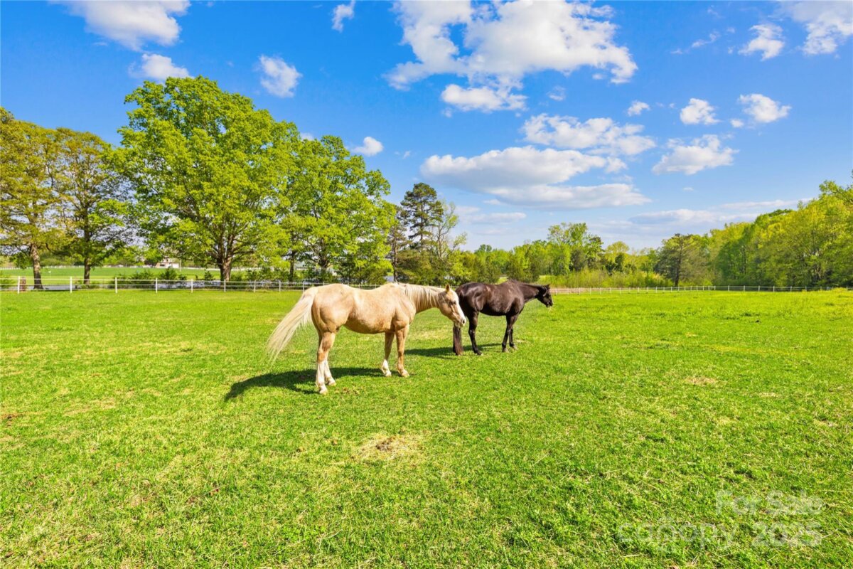 4896 Pageland Highway, Lancaster, SC 29720, MLS # 4246067