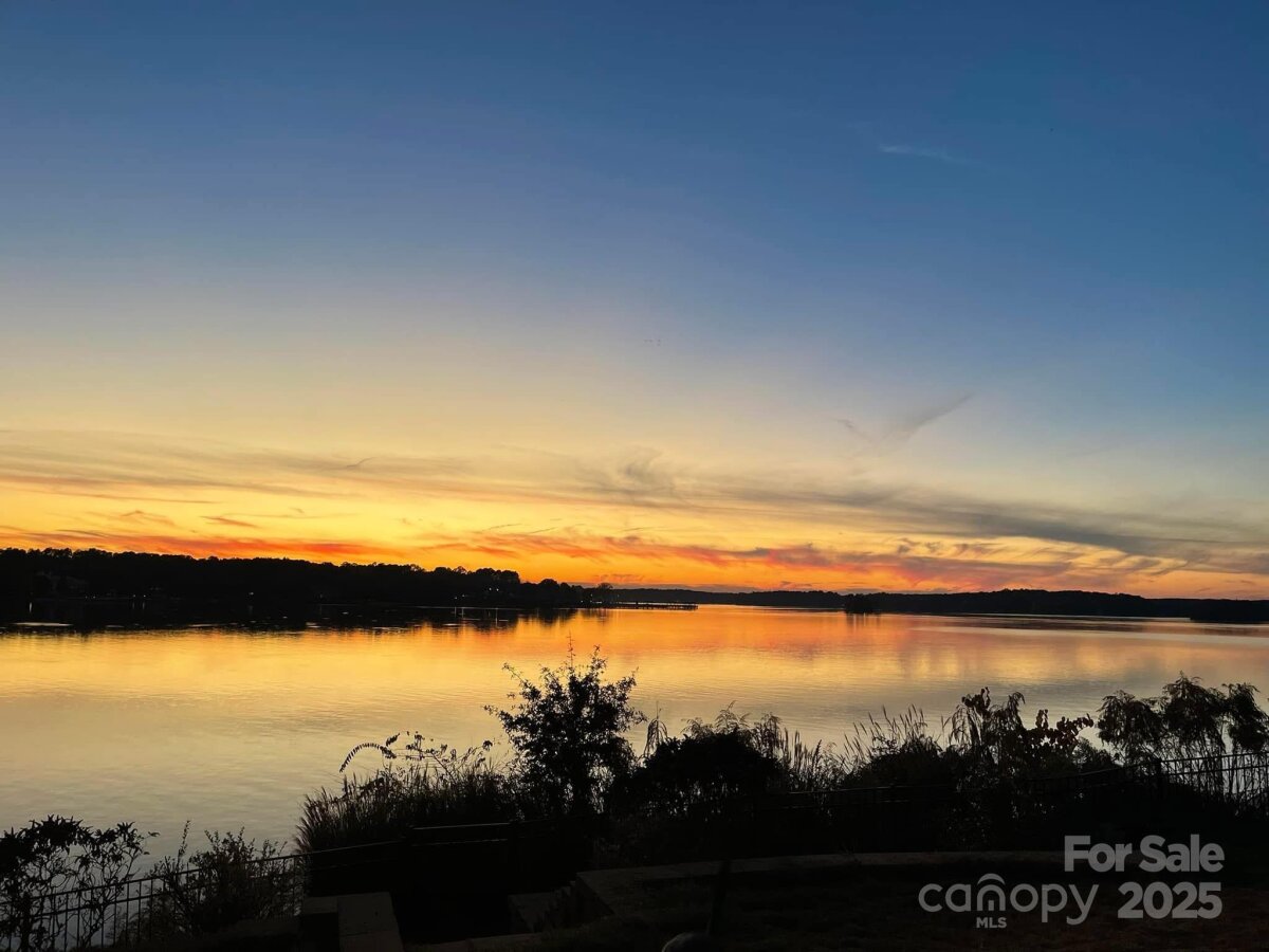 31009 Executive Point, Tega Cay, SC 29708, MLS # 4248925