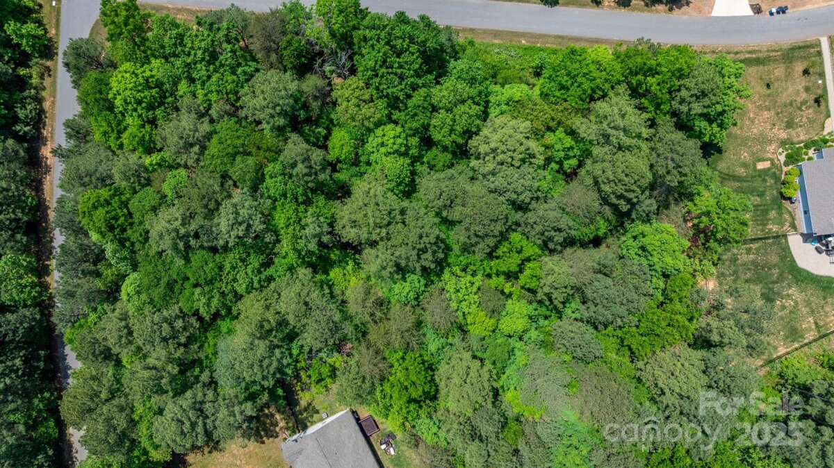 7996 Eric Crane Drive, Catawba, NC 28609, MLS # 4254716