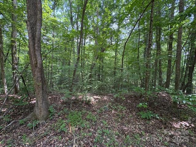 8145 Rowe Street, Catawba, NC 28609, MLS # 4267027