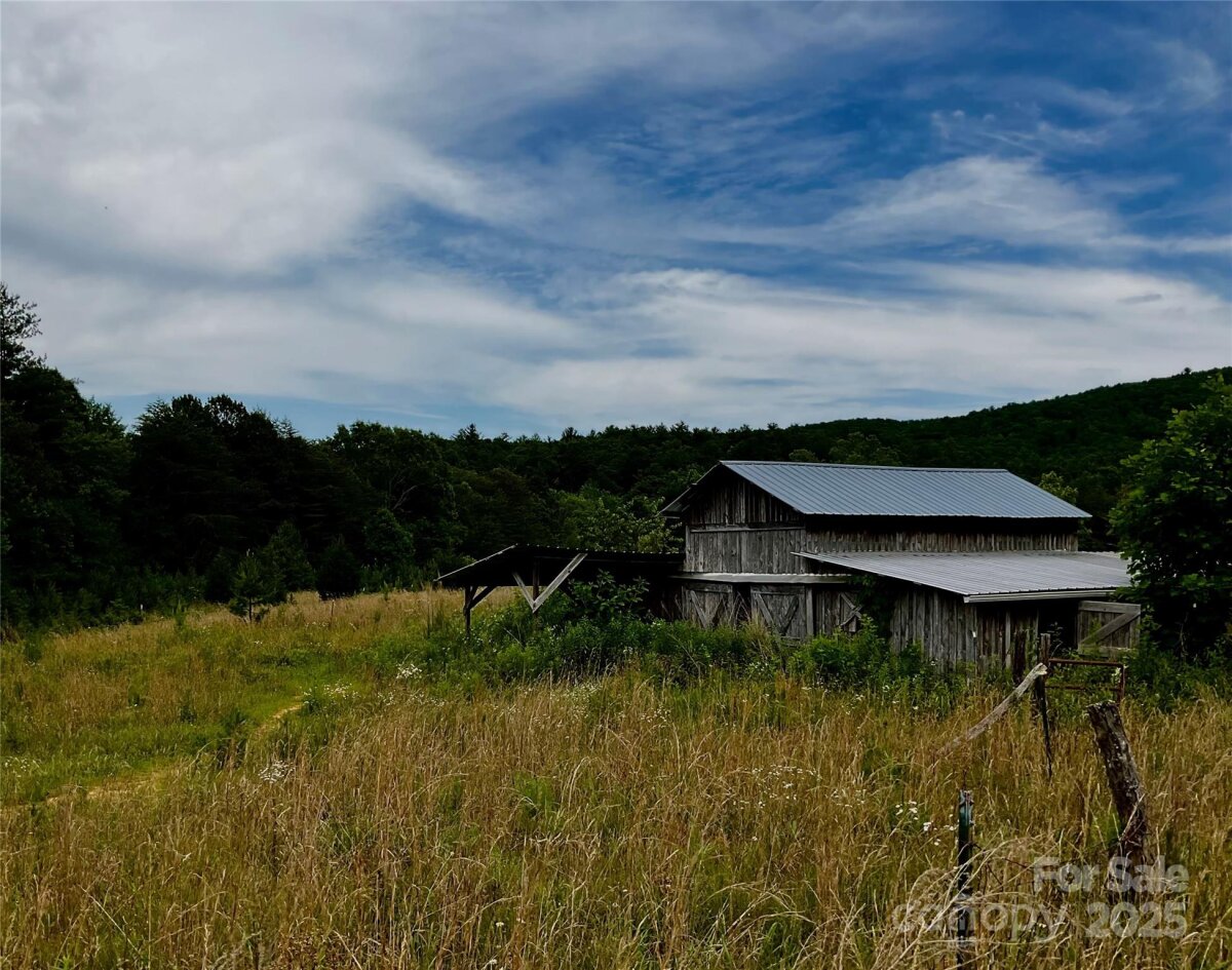 4282 Mount Gilead Church Road, Connelly Springs, NC 28612, MLS # 4272301