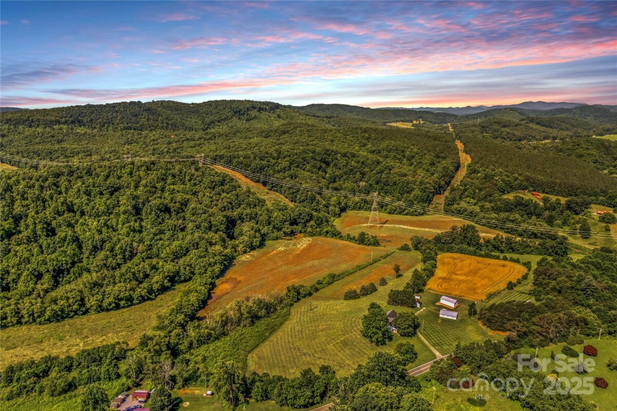 1043 Linneys Mill Road, Union Grove, NC 28689, MLS # 4274249