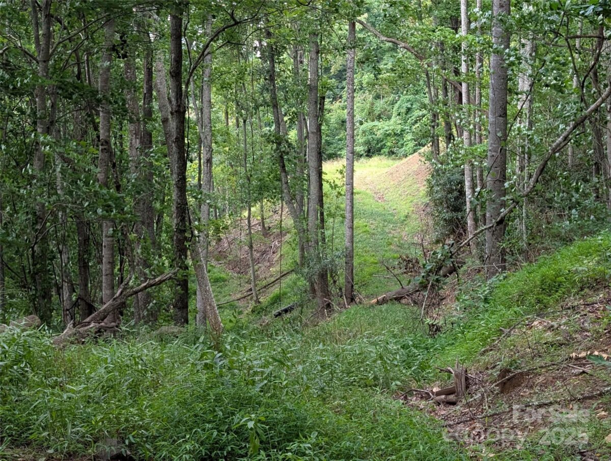 Mars Hill 98 4279040