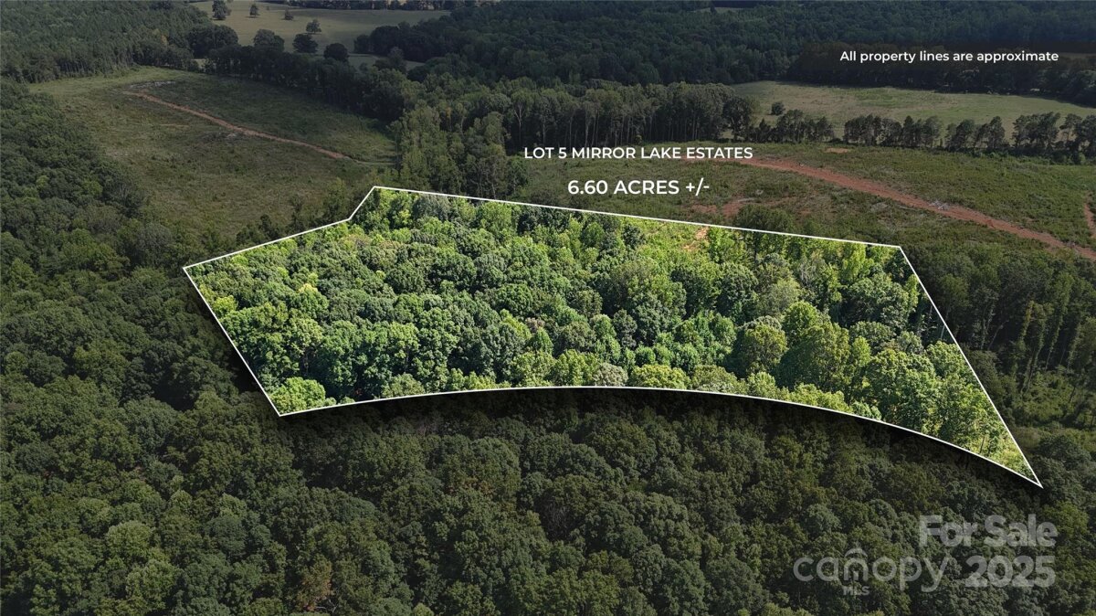 4415 Mirror Lake Drive, Catawba, NC 28609, MLS # 4286228