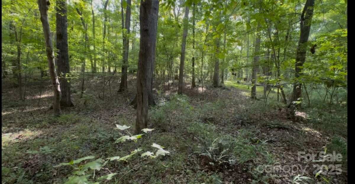 1402 Bloomsberry Lane, Waxhaw, NC 28173, MLS # 4294984