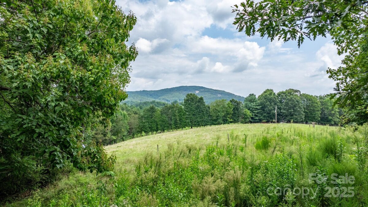 206 Rocky Top Road, Taylorsville, NC 28681, MLS # 4295744