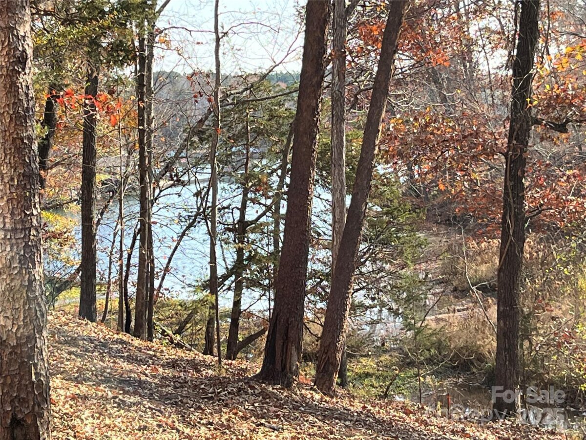 2868 Watergarden Street, York, SC 29745, MLS # 4303310