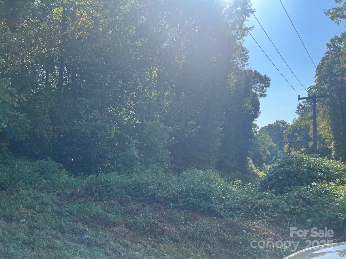 249 E McDowell Street, Morganton, NC 28655, MLS # 4305306