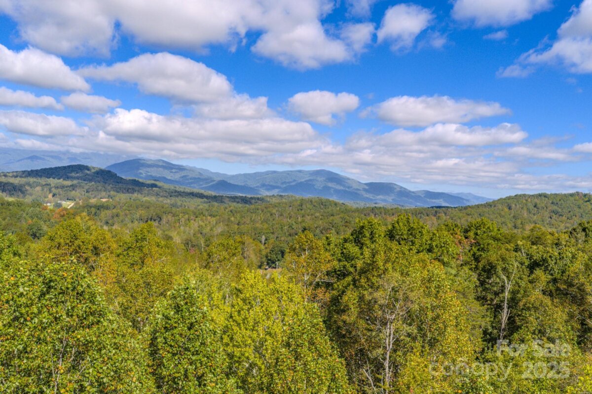 170 Midnight Sun Lane, Old Fort, NC 28762, MLS # 4307086