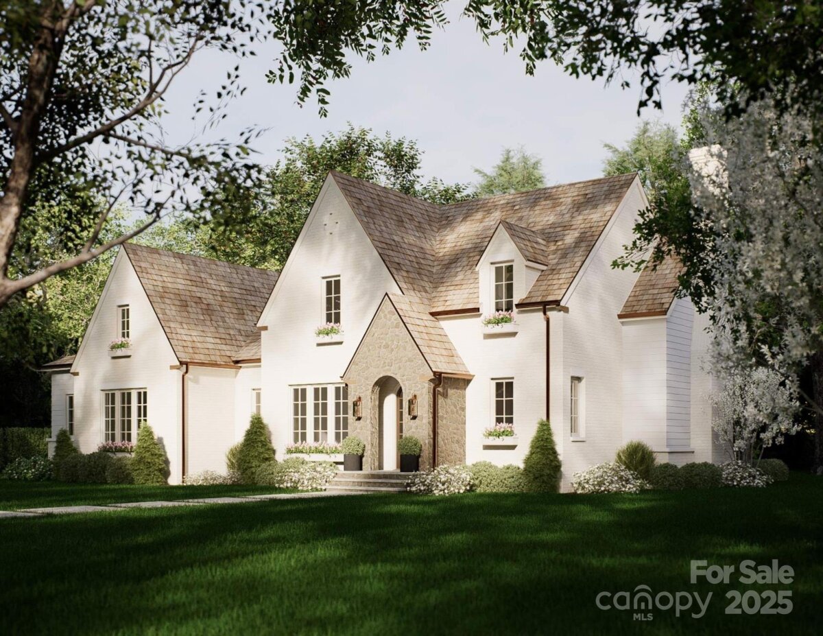 Black Mountain 19 4319105