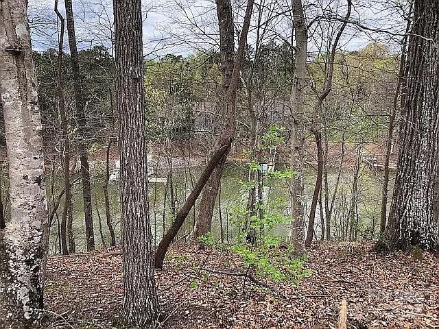 8118 Summit Ridge Drive, Catawba, NC 28609, MLS # 4320123