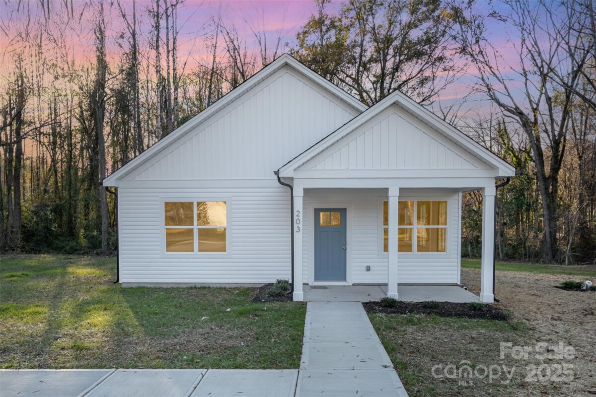 203 Williams Street, York, SC 29745, MLS # 4327743