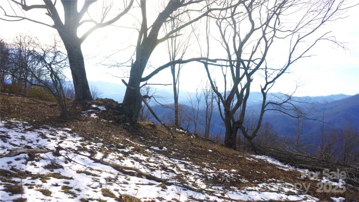 Burnsville 7 4329034