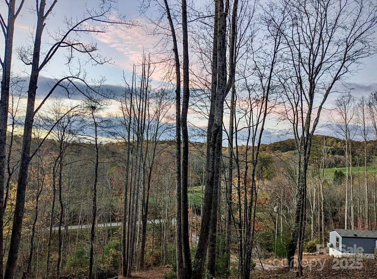 2828 E Pine Street, Mount Airy, NC 27030, MLS # 4331488