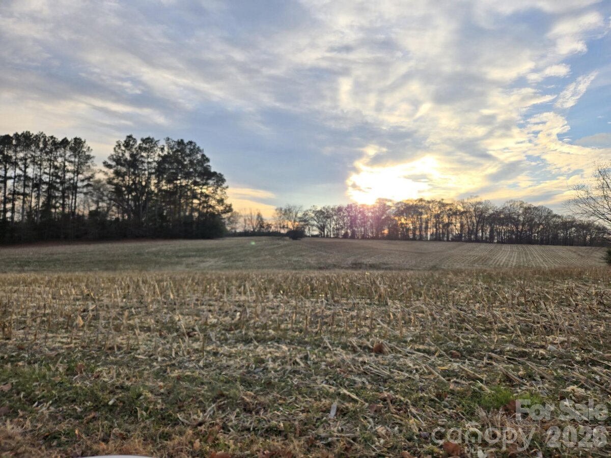 Newt Road, Albemarle, NC 28001, MLS # 4333774