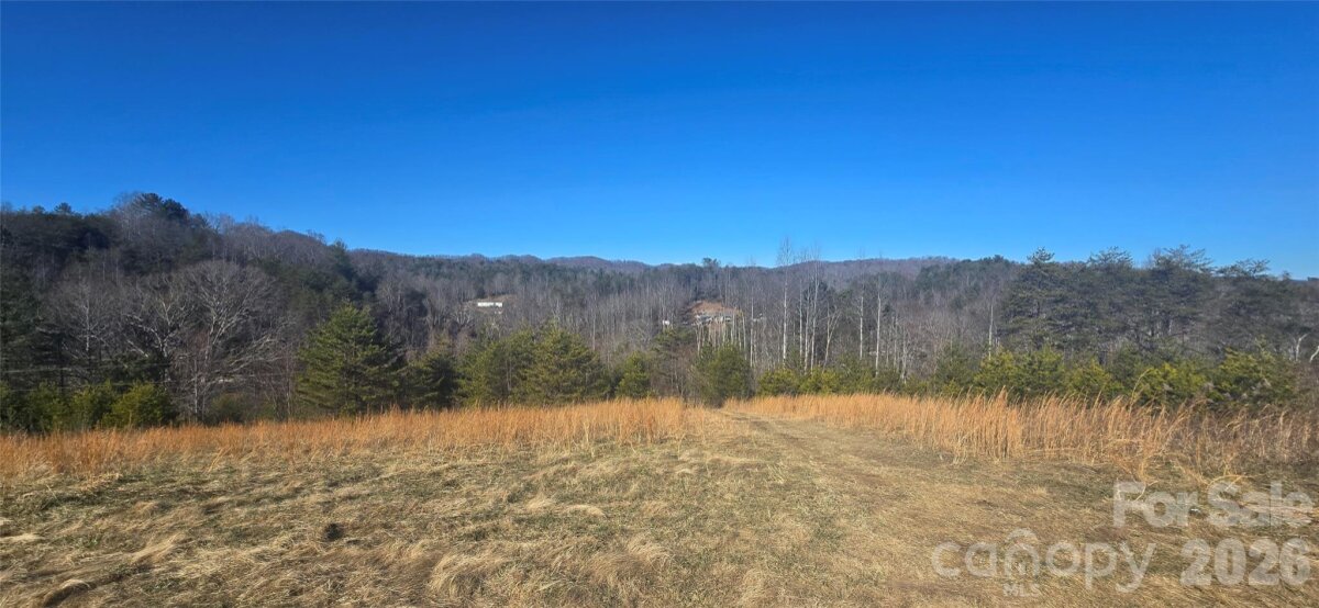 1236 Three Way Lane, Lenoir, NC 28645, MLS # 4335056