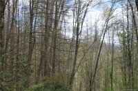 Big Spring Trail # 61, Qualla, NC 28719, MLS # 3253867 - Photo #4