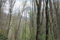 Big Spring Trail # 61,69, Qualla, NC 28719, MLS # 3253869 - Photo #14