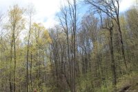 Big Spring Trail # 65, Qualla, NC 28719, MLS # 3253870 - Photo #8
