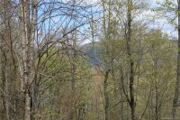 Big Spring Trail # 65, Qualla, NC 28719, MLS # 3253870 - Photo #11