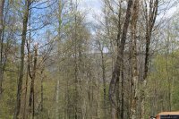 Big Spring Trail # 65, Qualla, NC 28719, MLS # 3253870 - Photo #14