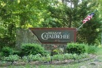 Multiflora Way, Waynesville, NC 28785, MLS # 3510780 - Photo #2