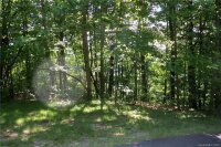 Multiflora Way, Waynesville, NC 28785, MLS # 3510780 - Photo #4