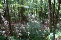 Multiflora Way, Waynesville, NC 28785, MLS # 3510780 - Photo #9