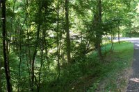 Multiflora Way, Waynesville, NC 28785, MLS # 3510780 - Photo #13