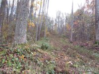 Red Wolf Run None, Mars Hill, NC 28754, MLS # 3678518 - Photo #1