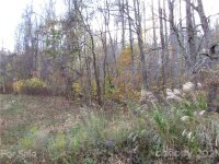 Red Wolf Run None, Mars Hill, NC 28754, MLS # 3678518 - Photo #2