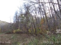 Red Wolf Run None, Mars Hill, NC 28754, MLS # 3678518 - Photo #3