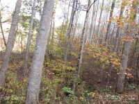 Red Wolf Run None, Mars Hill, NC 28754, MLS # 3678518 - Photo #4