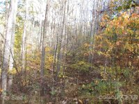 Red Wolf Run None, Mars Hill, NC 28754, MLS # 3678518 - Photo #5