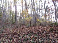 Red Wolf Run None, Mars Hill, NC 28754, MLS # 3678518 - Photo #6