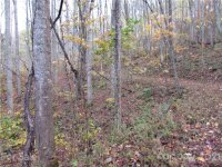 Red Wolf Run None, Mars Hill, NC 28754, MLS # 3678518 - Photo #7