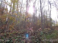 Red Wolf Run None, Mars Hill, NC 28754, MLS # 3678518 - Photo #8