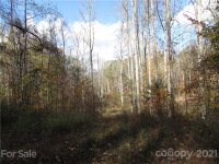 Red Wolf Run None, Mars Hill, NC 28754, MLS # 3678518 - Photo #9