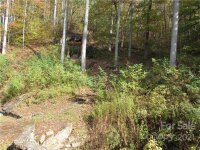 Red Wolf Run None, Mars Hill, NC 28754, MLS # 3678518 - Photo #18