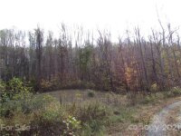 Red Wolf Run None, Mars Hill, NC 28754, MLS # 3678518 - Photo #20