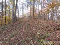 Red Wolf Run None, Mars Hill, NC 28754, MLS # 3678539 - Photo #1