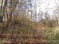 Red Wolf Run None, Mars Hill, NC 28754, MLS # 3678539 - Photo #2