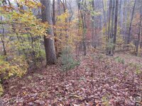 Red Wolf Run None, Mars Hill, NC 28754, MLS # 3678539 - Photo #3