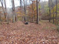 Red Wolf Run None, Mars Hill, NC 28754, MLS # 3678539 - Photo #4