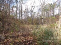 Red Wolf Run None, Mars Hill, NC 28754, MLS # 3678539 - Photo #5