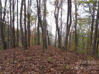 Red Wolf Run None, Mars Hill, NC 28754, MLS # 3678539 - Photo #6