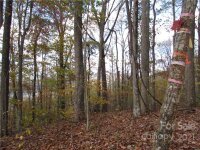 Red Wolf Run None, Mars Hill, NC 28754, MLS # 3678539 - Photo #7